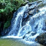 Experience Khao Sok Jungle Escape Half Day Half Night - Exploring the Itinerary in Detail