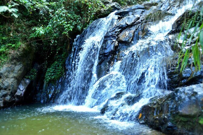 Experience Khao Sok Jungle Escape Half Day Half Night - Exploring the Itinerary in Detail  