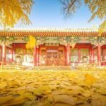 Experience Prince Kung's Mansion in Beijing - Final Thoughts