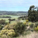 Experience SA Clare Valley Private Wine Tour - What Travelers Are Saying (Based on Reviews)