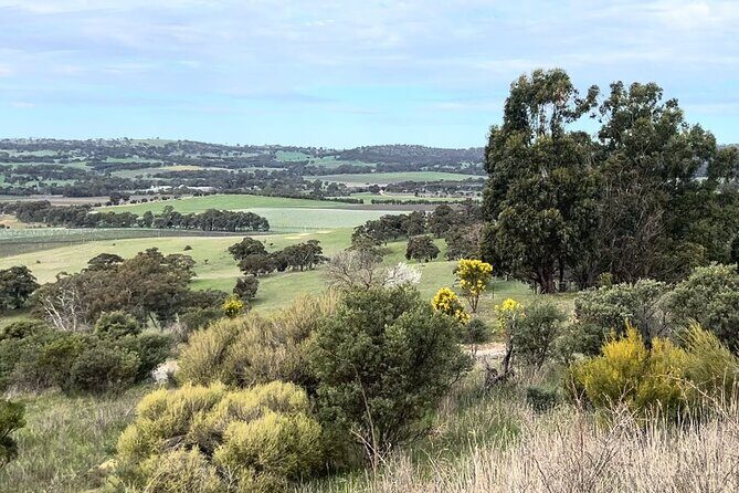 Experience SA Clare Valley Private Wine Tour - What Travelers Are Saying (Based on Reviews)