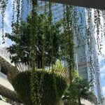 Experience Shenzhen in a Cultural Tour Beyond Tech - Practical Insights and Value