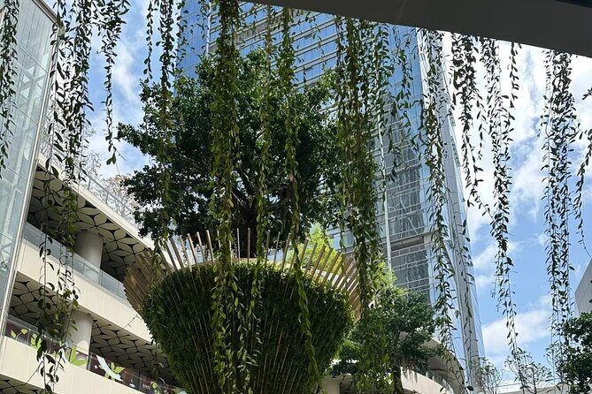 Experience Shenzhen in a Cultural Tour Beyond Tech - Practical Insights and Value