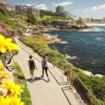 Experience Sydney's Best Beaches - Practical Details & Tips