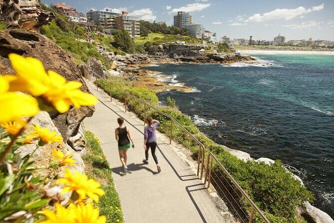 Experience Sydney's Best Beaches - Practical Details & Tips