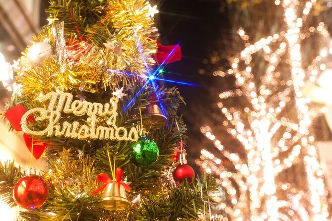 Experience the Magic of Christmas in Tokyo - What’s Included and What to Keep in Mind
