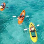 Explore Aruba Coastline with Kayaking Tour - Who Is This Tour Best For?