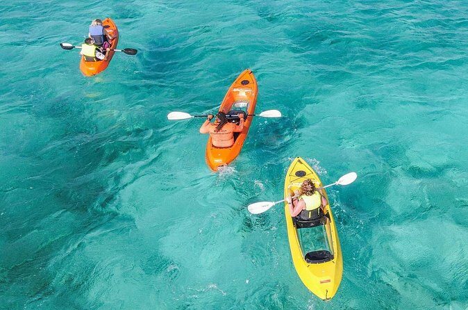 Explore Aruba Coastline with Kayaking Tour - Who Is This Tour Best For?