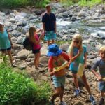 Explore Authentic Guadeloupe with a Local Multilingual Guide - A Deep Dive into the Itinerary