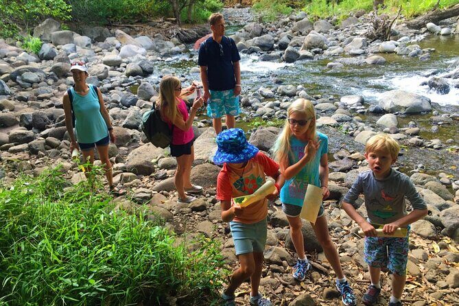 Explore Authentic Guadeloupe with a Local Multilingual Guide - A Deep Dive into the Itinerary