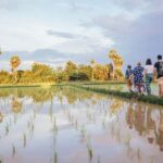 Explore Balis Rice Terraces: Private Guided Hiking Tour - Who Will Love This Tour?