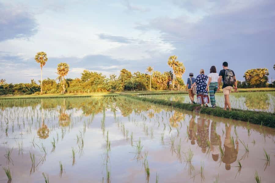 Explore Balis Rice Terraces: Private Guided Hiking Tour - Who Will Love This Tour?