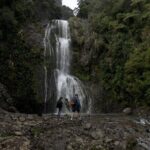 Explore BLACK SAND PIHA BEACH, and Water Falls in West Auckland - Is It Worth the Price?