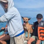 Explore Cham Island on a Private Snorkeling Adventure - The Real Value of This Tour