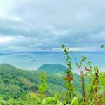 Explore Da Nang, Bana Hills, Hue Hoi An and My Son in 7D6N - Day 1: Scenic Drive from Da Nang to Hue via Hai Van Pass and Lang Co Beach