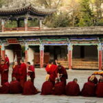Explore Dharamshala's monasteries for Tibetan spirituality - The Value of This Tour