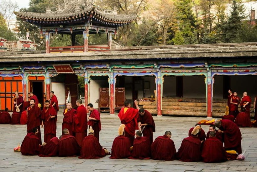 Explore Dharamshala's monasteries for Tibetan spirituality - The Value of This Tour