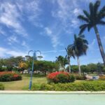 Explore Downtown Kingston and New Kingston: - An In-Depth Look at the Kingston and New Kingston Tour