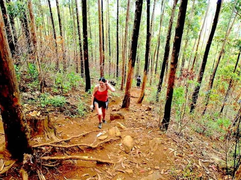 Explore Ella: Rock Hike, Loop, Falls, Nine arch & Train View - Practical Details and Value