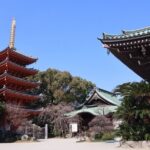 Explore Fukuoka in Half a Day History Culture and City Life - Who Is This Tour Best For?