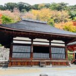 Explore History and Culture in Kyoto - Authentic Experiences & Insider Insights