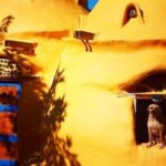 Explore Indigenous Roots, Experience a day in the life of a Taíno - The Itinerary in Detail: What to Expect