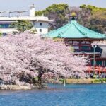 Explore Japan in 7 Days Cherry Blossom Tour 2026 - Authentic Experiences and Practical Tips