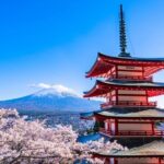 Explore Japan in 7 Days Cherry Blossom Tour 2026 - Transportation & Group Size