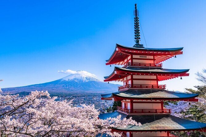 Explore Japan in 7 Days Cherry Blossom Tour 2026 - Transportation & Group Size