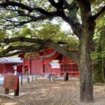 Explore Japans Oldest University by a Walking Tour - Insights from the Guide: A Student’s Perspective