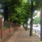 Explore Japans Oldest University by a Walking Tour - An In-Depth Look at the Tour Experience