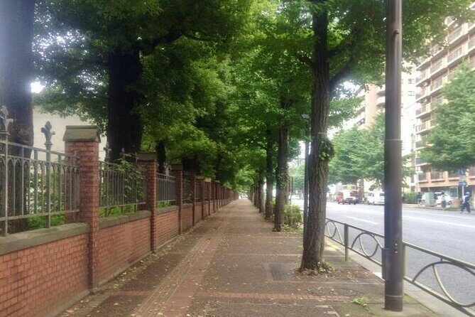 Explore Japans Oldest University by a Walking Tour - An In-Depth Look at the Tour Experience