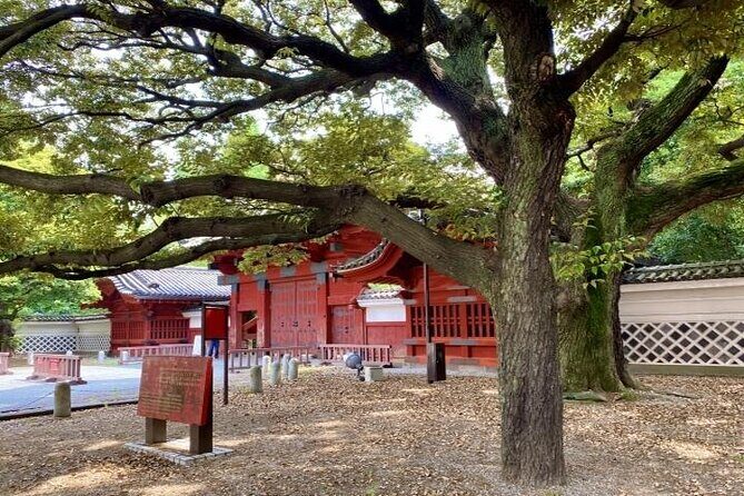 Explore Japans Oldest University by a Walking Tour - Insights from the Guide: A Student’s Perspective