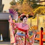 Explore Kyoto in Style: Temples, Shrines & Cultural Highlights - Who Will Love This Tour?