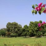 Explore Ludhianas Culture and Cuisine in One Day Tour - What This Tour Means for You