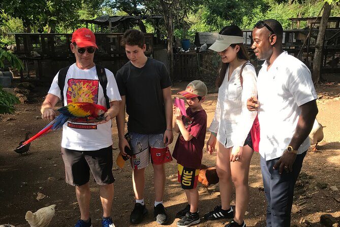 Explore Montego Bay to Exotic Birds and Herb Farm from MontegoBay - Final Thoughts: Is It Worth It?