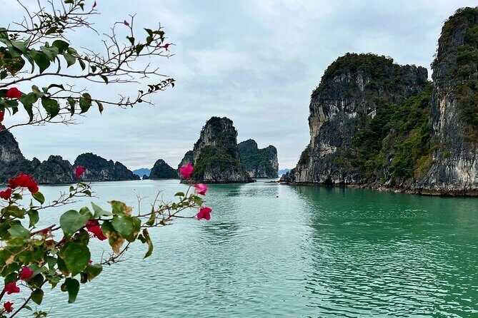 Explore Ninh Binh and Bai Tu Long Bay 2 Days 1 Night Tour - Is This Tour Worth the Price?
