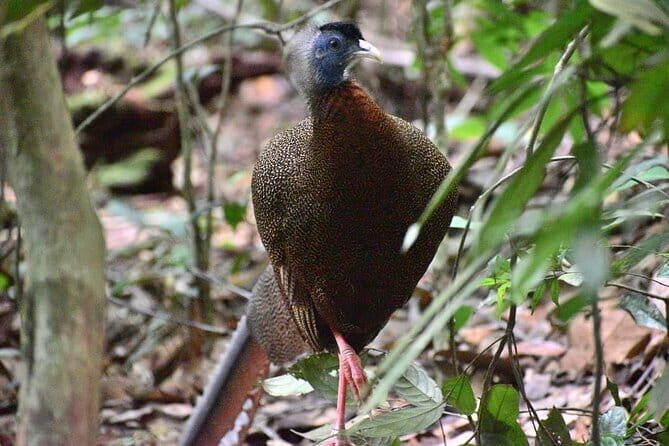 Explore North Sumatra : 7 Days Tour Adventure Package - Practical Insights & What’s Included