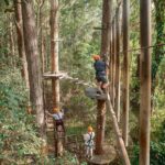 Explore Ourimbah State Forest Tree Ropes Course - Who Should Book This Experience?