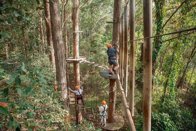 Explore Ourimbah State Forest Tree Ropes Course - Who Should Book This Experience?