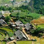 Explore Sapa on a 2 Days and 1 Night Trek - Pricing and Value Analysis