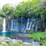 Explore Shizuoka with Private Car Tour - What We Love About the Tour