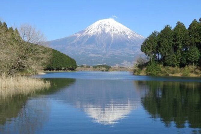 Explore Shizuoka with Private Car Tour - Analyzing the Cost and Value