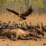 Explore Siempang Forest Lodge on a 3 Day Private Tour - A Genuine Look at the 3-Day Siempang Forest Lodge Tour