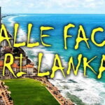 Explore Sri Lanka: One-Day City Tour with Colombo Highlights - Who Is This Tour Best For?