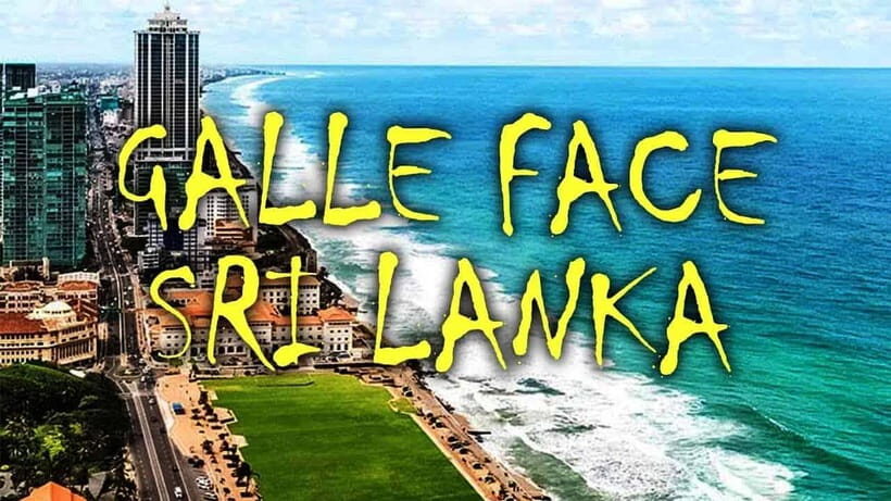 Explore Sri Lanka: One-Day City Tour with Colombo Highlights - Who Is This Tour Best For?  