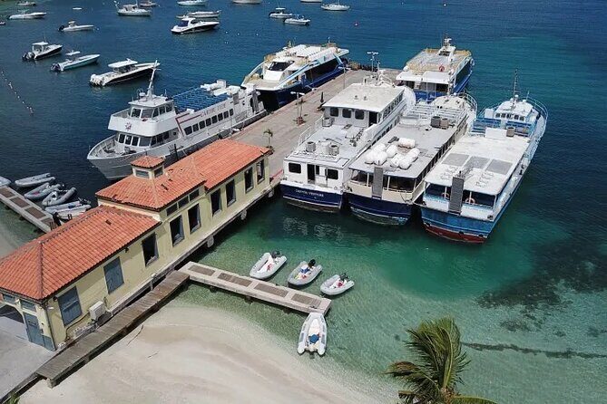 Explore St. John Private Full Day Island Tour - Who Is This Tour Best For?