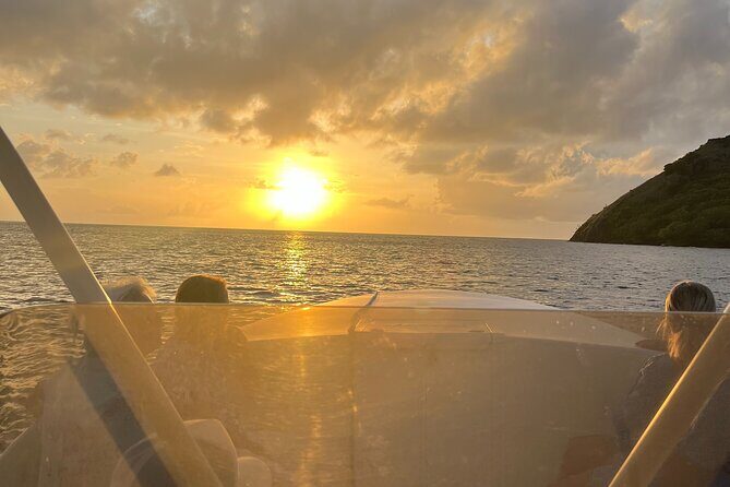 Explore St. Lucia's Pitons on a Private Speedboat Rental - Price Point: Is It Worth It?  