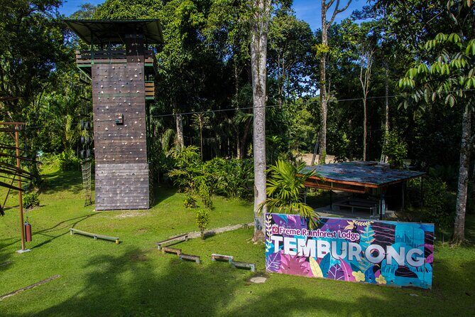 Explore Temburong with Canopy Tower - Who Will Love This Tour?