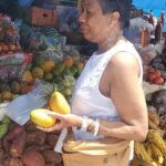 Explore the Beauty of Montego Bay Nature Tour in Jamaica - Deep Dive into the Itinerary